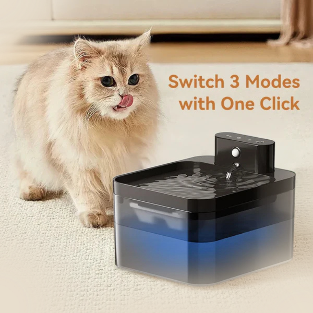 Automatic Pet smart Water Fountain