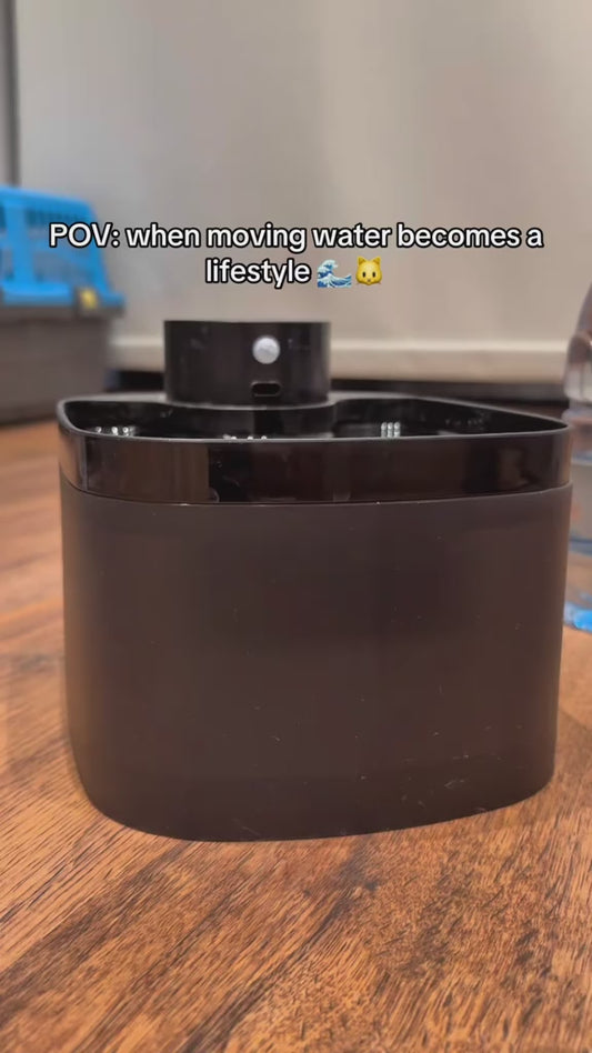 Automatic Pet smart Water Fountain